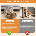 2-Pack Magic Organ Cat Scratcher, Cardboard Cat Toy with Interactive Ball Track, Foldable Cat Toy Cardboard Ring for Indoor Multi-Cat Homes, Kitten Fun Intelligence Exercise & Furniture Protection