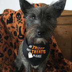 Halloween Dog Bandanas Costumes - No Tricks Just Treats - Slogan Printed Holiday Pet Bandana Snap Button Triangle Scarf, 30-75lbs, Medium and Large Breed