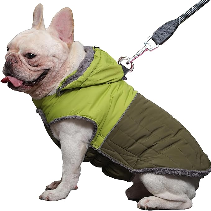 Detachable Hooded Dog Coat with Harness for Medium Dogs,Super Warm Fleece Puppy Jacket for Cold Winter Doggie Coats,Green XL