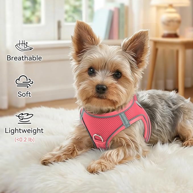 Joytale Small Dog Harness, Breathable Mesh Step-in Vest, Reflective Soft Padded Harnesses for Small and Medium Dogs, Pink, M