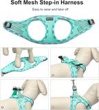 Mercano Soft Mesh Dog Harness and Leash Set, No-Chock Step-in Reflective Breathable Lightweight Easy Walk Vest Harnesses with Safety Buckle for Small Dogs, Cats (Light Green, S)