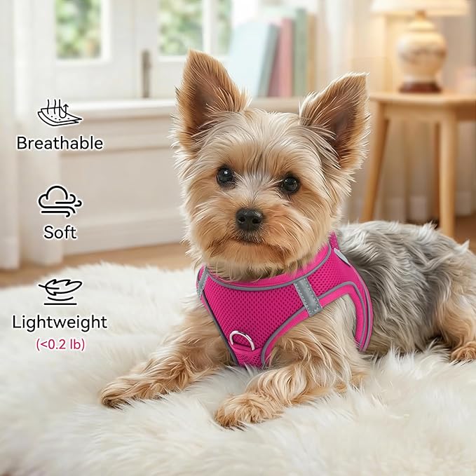 Joytale Small Dog Harness, Breathable Mesh Step-in Vest, Reflective Soft Padded Harnesses for Puppies and Extra Small Dogs, Hot Pink, XS