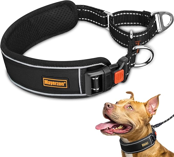 Mayerzon 2 Inch Wide Martingale Collar for Large Dogs, Patented No Pull Walking Training Dog Collar for Pitbull German Shepherd, with Buckle, Reflective Stitching, Adjustable (Black, XL)
