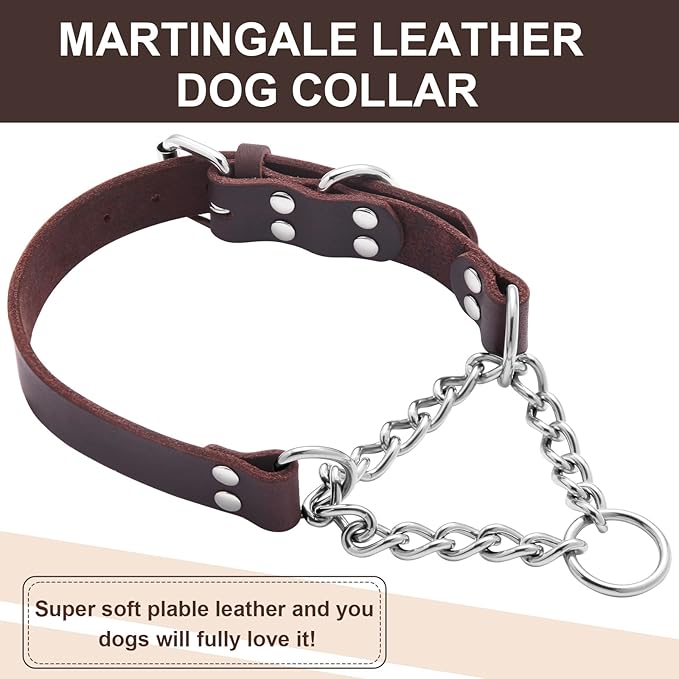 Leather Martingale Dog Collar, Genuine & Stainless Steel Chain Martingale Collar No-Pull Adjustable Anti-Slip Training & Walking Collar for Small Medium Large Breed Dogs Pets. (Small: Neck 10"-16")