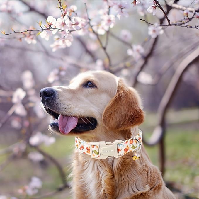 ARING PET Dog Collar, Cute Spring Summer Insects Bee Floral Doggy Collars with Quick Release Buckle for Puppy Small Medium Large Dogs-XL
