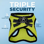 Best Pet Supplies Voyager Step-in Air All Weather Mesh Harness and Reflective Dog 5 ft Leash Combo with Neoprene Handle, for Small, Medium and Large Breed Puppies - Lime/Black Trim, Medium