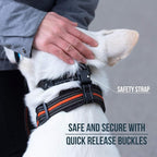 GoodBoy Dog Head Halter with Safety Strap - Stops Heavy Pulling On The Leash - Padded Headcollar for Small Medium and Large Dog Sizes - Head Collar Training Guide Included (Size 3, Pink)
