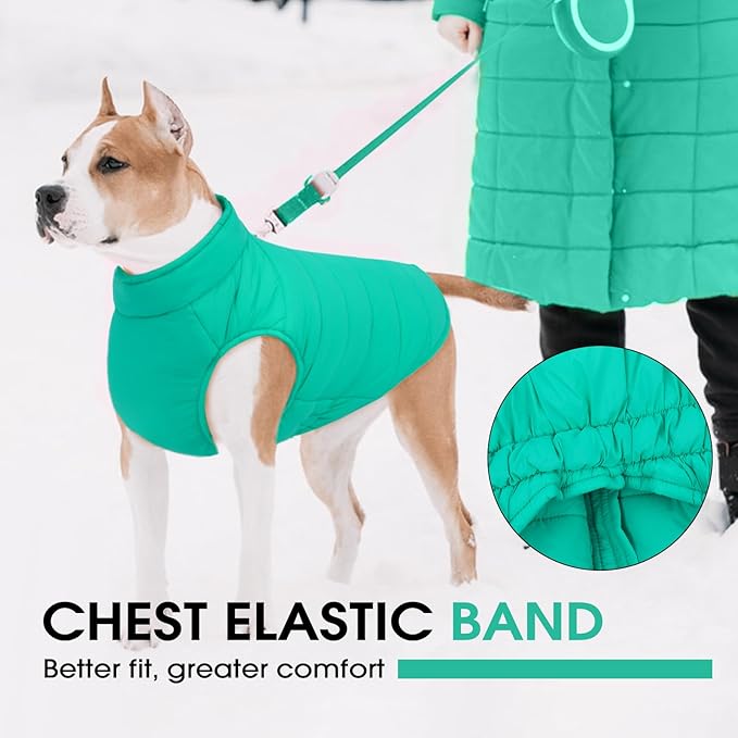 Dog Coats for Small Dogs, Warm Dog Puffer Vest for Winter Waterproof, Lightweight Down Pet Coats with Zipper & Neck Wrap, Warm Jacket for Dachshund, West Highland White Terrier, Green S