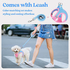 rabbitgoo Dog Harness Small Medium Sized and Leash Set, Step in Soft Light Puppy Vest, Breathable Mesh Pet Harness, Reflective for Safe Easy Walking, Blue & Light Pink XL