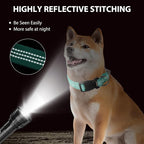 Martingale Dog Collar with Quick Release Buckle Steel Chain No Pull Training Reflective Collar for Medium Large Dogs(Teal, Large)