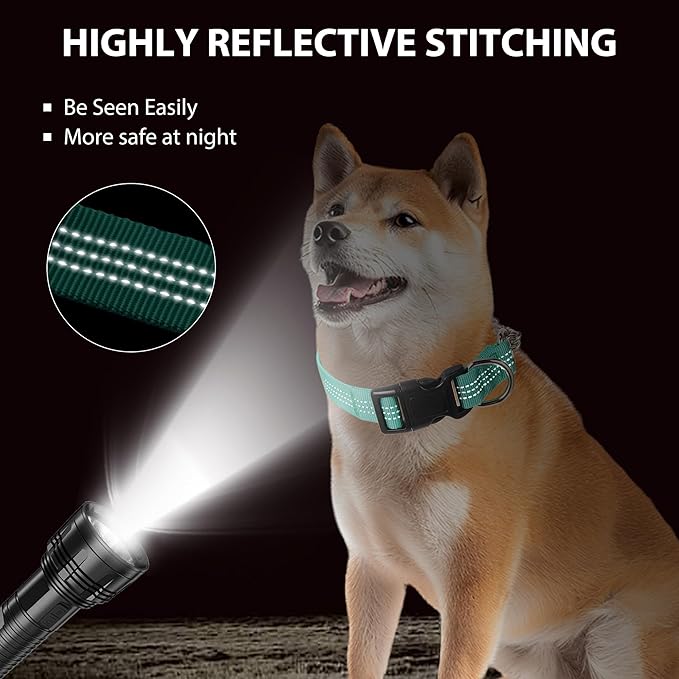 Martingale Dog Collar with Quick Release Buckle Steel Chain No Pull Training Reflective Collar for Medium Large Dogs(Teal, Medium)