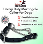 Martingale Collar for Dogs, Biothane, Stainless Steel Hardware, No Pull, Made in The USA, Professional Grade, Extra Large, Black