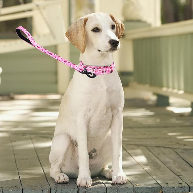 Martingale Collar and Leash Set, Premium No Slip Martingale Collar for Dogs Medium Large, Girl Dog Collars Training (NO7, M)