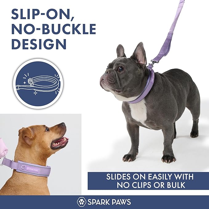 Spark Paws Martingale Dog Collar – Cushioned Slip-On Training Collar, Heavy Duty, Safety-Tested No-Buckle Collar for Medium & Large Dogs - Lilac - E