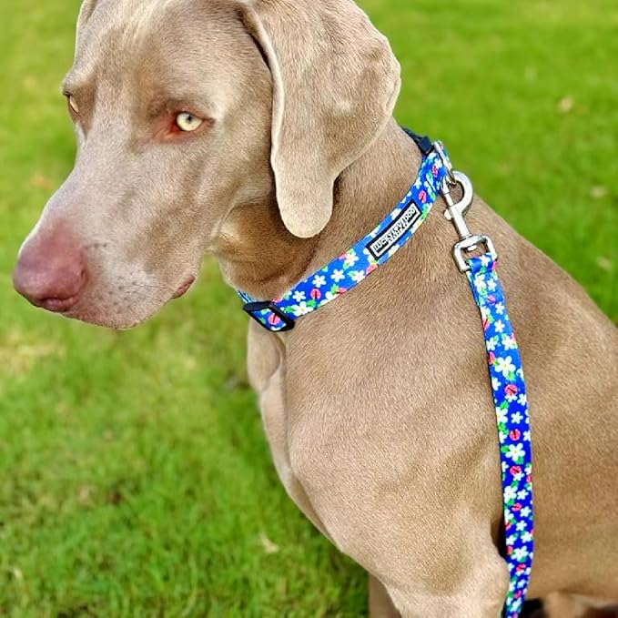 Lucky Love Dog - Adjustable Dog Collar with Easy Click Buckle for Small Ones, Durable, & Comfortable for Male & Female Dogs, Pet Collar for Puppies & Adult Dogs - Lilian, XS