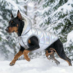 Windproof Waterproof Dog Coat Fleece & Cotton Lined Warm Jacket, Cold Weather Pet Apparel Clothes Vest for Small Medium Large Dog (XL, Silver)