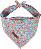 lionet paws Hallonween Dog Bandana for Small Medium Large Dogs,Washable Dog Triangle Bibs Scarf Dog Cat Kerchief for Girl Boy Gift
