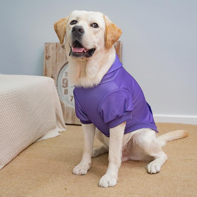 KOOLTAIL Dog Hoodie for Large Medium Small Dogs,Soft and Warm Pet Sweater with Leash Hole and Pocket Boy Girl,Puppy Fall Winter Jacket Clothes,French Pitbull Cold Weather Coat Sweatshirt,Purple XL