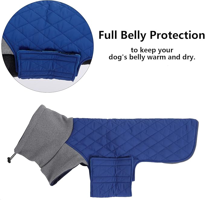 Geyecete Dachshund Coat,Dachshund Winter Coat,Warm Waterproof Windproof, High Neckine String Holes Miniature Dachshund Jacket for Small Dog-Blue-M
