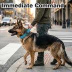 Joytale Tactical Dog Collar for Large Dogs with Control Handle, Heavy Duty Military Training Collar for Power Breeds, AirTag Holder Case, Quick Release Metal Buckle, Soft Padded, L, Sky Blue