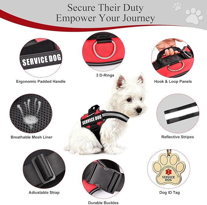 Service Dog Vest, ID Tag + 50 ADA Information Cards, Service Dog Harness in Sizes X Small to XX Large, Ruggedized Metal Tag, 2-Sided Service Animal Information Cards, ESA Accessory Set Large