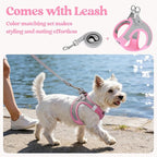 rabbitgoo Dog Harness Small Sized and Leash Set, Step in Soft Light Puppy Vest, Breathable Mesh Pet Harness, Reflective for Safe Easy Walking, Pink & Gray XS