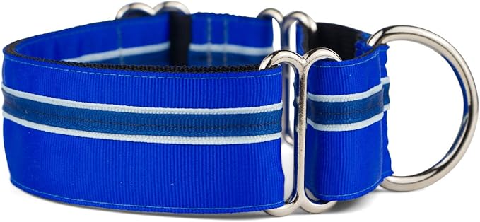 If It Barks - 1.5" Martingale Collar for Dogs - Adjustable - Nylon - Strong and Comfy - Ideal for Training - Made in USA - Large, Blueberry