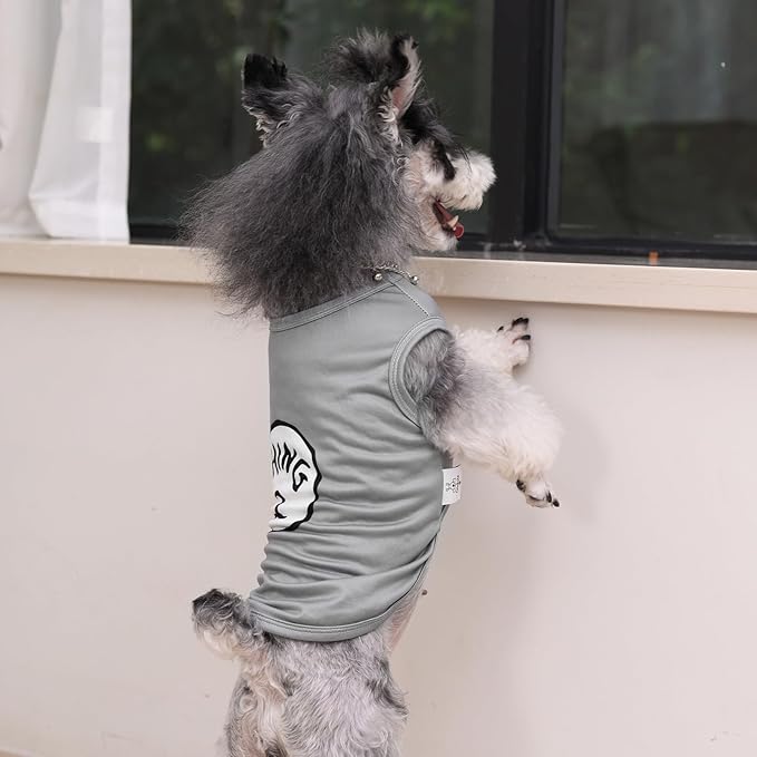 CuteBone Dog Shirts 2-Pack Soft Pet Clothes Breathable Summer Vest for Small Puppy and Stretchy Cat Apparel 2BX20L-D