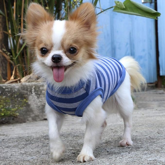 LOPHIPETS 100% Cotton Striped Dog Shirts for Small Dogs Chihuahua Puppy Clothes Tank Vest-Blue and Gray Strips/S