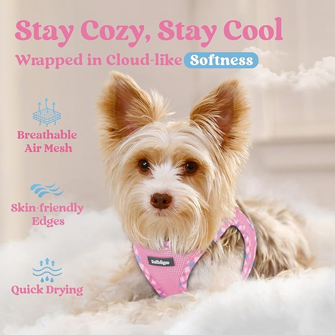 rabbitgoo Small Dog Harness, Step-in Soft Mesh Puppy Vest with Safety Buckle, Breathable Reflective Pet Harness for Small Medium Dogs, Pink & Plaid Trim L