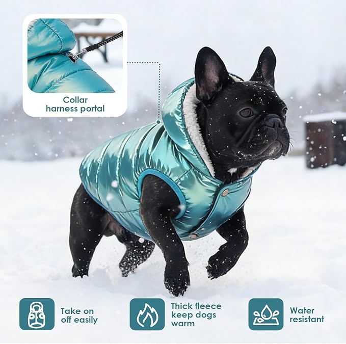 Windproof Waterproof Dog Coat Fleece & Cotton Lined Warm Jacket, Cold Weather Pet Apparel Clothes Vest for Small Medium Large Dog (XS, Mintgreen)