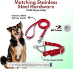 Martingale Collar for Dogs, Biothane, Stainless Steel Hardware, No Pull, Made in The USA, Professional Grade, Medium, Red