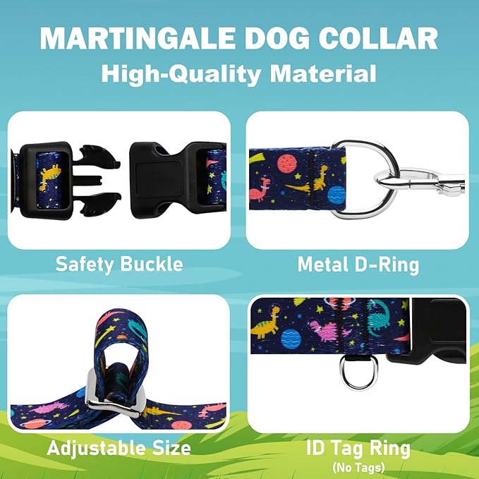 Martingale Collar for Dogs with Buckle No Pull Adjustable Nylon Limited Slip Training Dog Collars (Blue Dinosaur, Small)