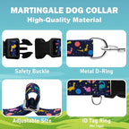 Martingale Collar for Dogs with Buckle No Pull Adjustable Nylon Limited Slip Training Dog Collars (Blue Dinosaur, Small)