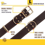 ADITYNA Heavy Duty Leather Dog Collar - Soft and Strong Leather Collar for Large Breeds (Large: Fit 17" - 23" Neck, Brown - Gold Colored Buckle)