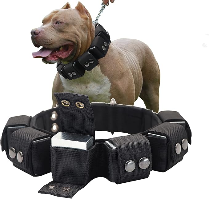 Tactical Weighted Dog Collar - Weights for Training & Exercise - Small, Medium, Large Dogs