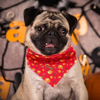 Elegant Little Tail Dog Bandana - Halloween Pumpkin Bandanas for Small, Medium, Large Dogs - Washable Square Scarf, Adjustable Kerchief for Girl Boy Dogs