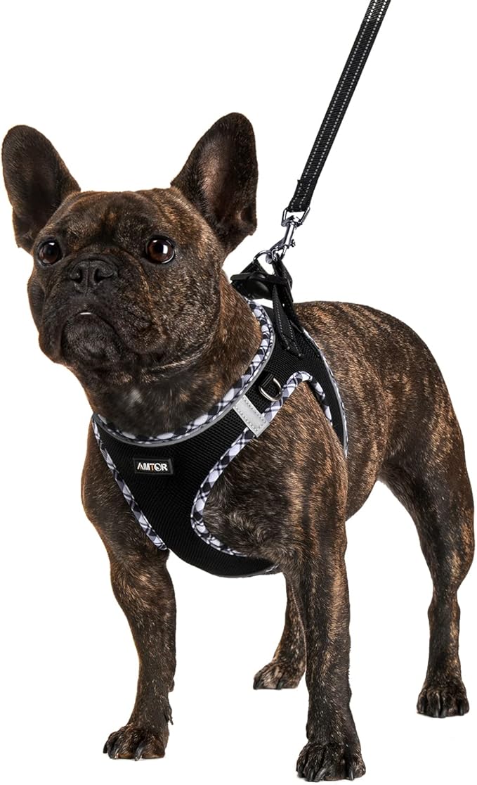 AMTOR Small Dog Harness with Leash Set, No Escape Easy Walk Puppy Harnesses for Training Walking, Step-in Reflective Soft Dogs Vest for XS S Medium Extra-Small Large Sized Dog(Black/GreyWhite,Small)