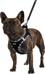 AMTOR Small Dog Harness with Leash Set, No Escape Easy Walk Puppy Harnesses for Training Walking, Step-in Reflective Soft Dogs Vest for XS S Medium Extra-Small Large Sized Dog(Black/GreyWhite,Small)