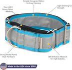 If It Barks - 1.5" Reflective Martingale Collar for Dogs - Adjustable - Made in USA - Strong, Durable, and Comfy - Ideal for Training - Suitable for Most Breeds - Large, Turquoise
