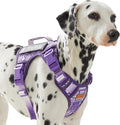 Dog Vest Harness with 2 Patches, No Pull Dog Harness for Walking Training Hiking, Metal D-Rings Easy on/Off Neck Buckle Reflective Strips Soft Padded Handle, Purple