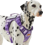 Dog Vest Harness with 2 Patches, No Pull Dog Harness for Walking Training Hiking, Metal D-Rings Easy on/Off Neck Buckle Reflective Strips Soft Padded Handle, Purple