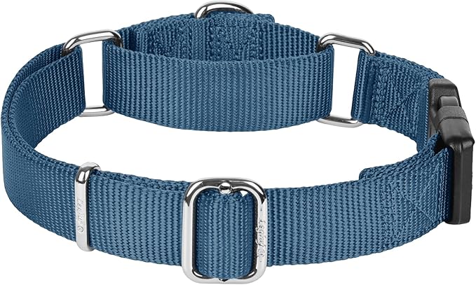 Martingale Collar for Dogs with Quick Release Buckle, Heavy-Duty Solid Color Nylon Training Collars - Adjustable No-Slip Design for Medium & Large Dog