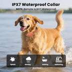 Dog Shock Collar with Soft Neoprene Padded - 4 Training Modes E Collar with 1600FT Remote Control for 5–120 lbs Large Medium Small Dogs, IPX7 Waterproof, Orange