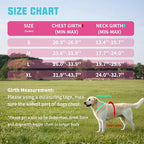 AUROTH Dog Harness and Leash Set, Soft Padded Service Dog Vest with 5.25FT Dog Leash, No Choke, Easy On Pet Vest, Adjustable Reflective No Pull Dog Harness Small Sized Dog, Easy Walking and Training