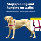PetSafe Easy Walk Harness for Dogs - Pull-Free Walks - Patented Martingale Loop Design - Front Chest Leash Attachment - Comfort Straps - Breathable Harness Design - Large, Raspberry/Gray