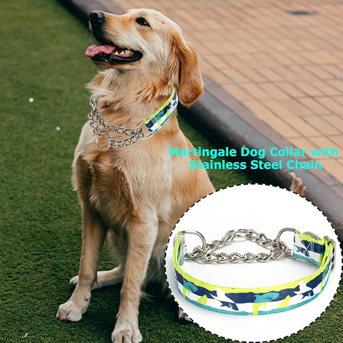 No-Pull Martingale Dog Collar with Chain - Adjustable Shark Pattern Choker Collar for Training, Anti-Pull Slip Collar for Medium, Large & XL Dogs（XL）