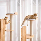 SHENGOCASE 72-Inch Modern Cat Tree Tower Condo for Large Cat, Natural Rubber Wood, Multi-Level Ladder with Hammock, Sisal Scratching Post, Large Perch Platform
