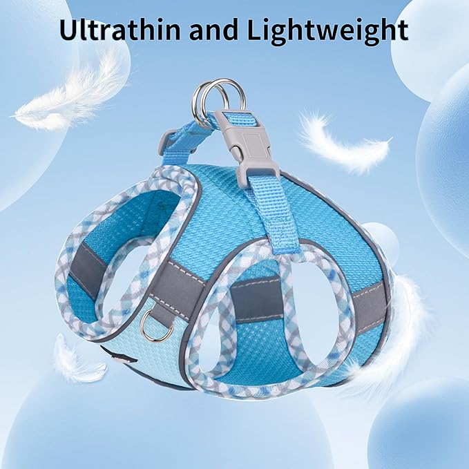 AIITLE XXS Dog Harness & Leash Set - Breathable Reflective No-Choke Small Dog Harness for Teacup Puppies, Indoor/Outdoor Use - Boston Terrier, Maltese, Chihuahua (Blue, XXS)