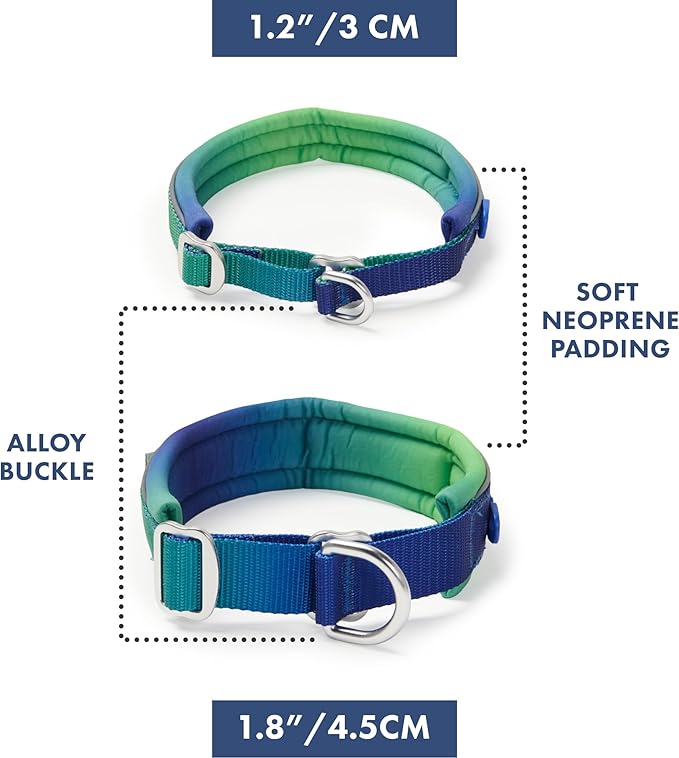 Spark Paws Martingale Dog Collar – Cushioned Slip-On Training Collar, Heavy Duty, Safety-Tested No-Buckle Collar for Medium & Large Dogs - Lime Wave - B